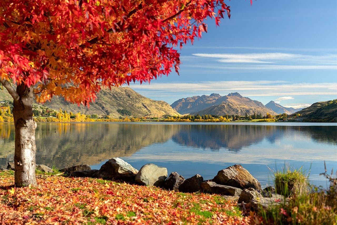 Welcome Autumn in Queenstown: Golden Leaves & Outdoor Adventures