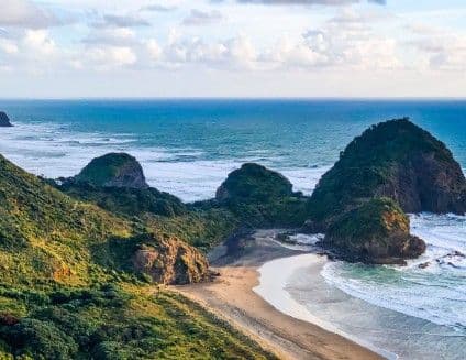 The Waitākere Ranges Are Reopening: Your Winter Road Trip West of Auckland