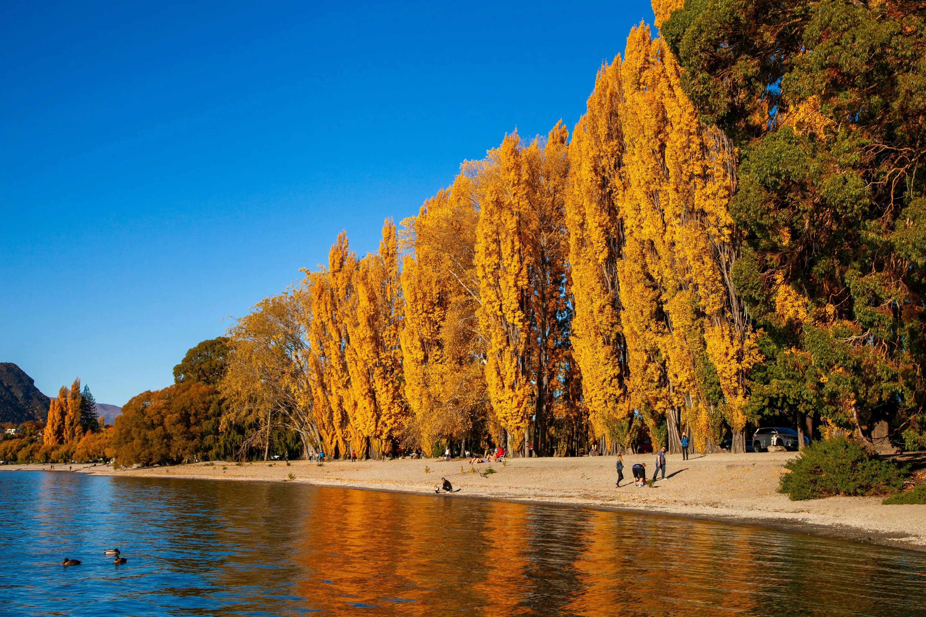 Queenstown in Autumn: Golden Trails, Wine Country and Arrowtown